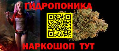твердый Славгород