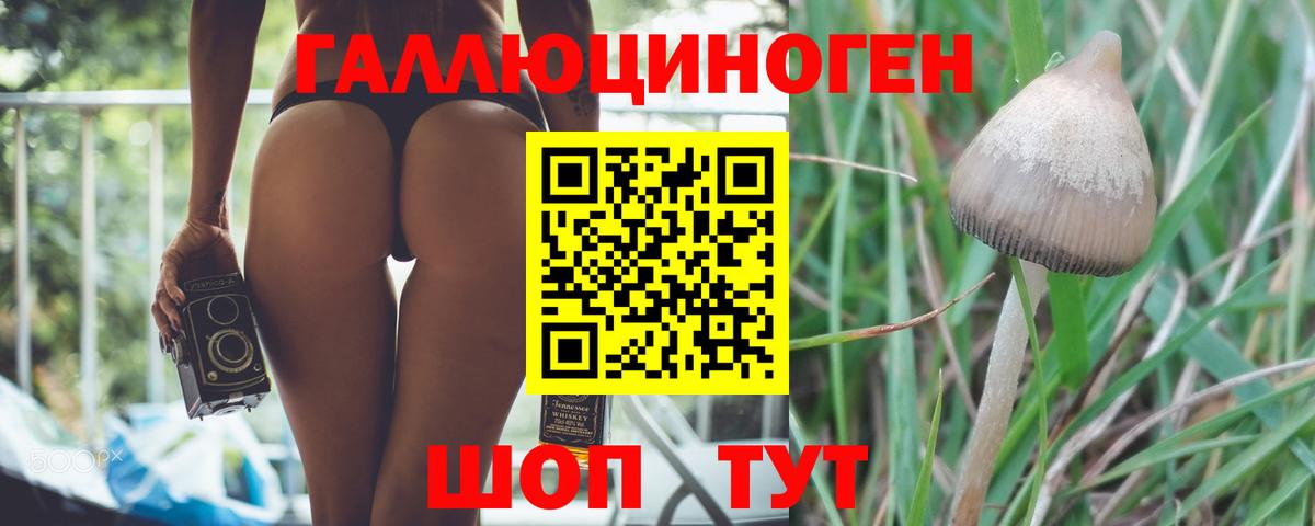 Псилоцибиновые грибы мицелий Выкса
