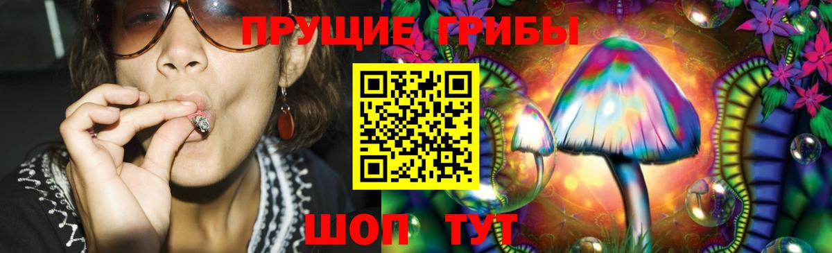 Галлюциногенные грибы Psilocybe  Вход с VPN  что такое   Выкса 