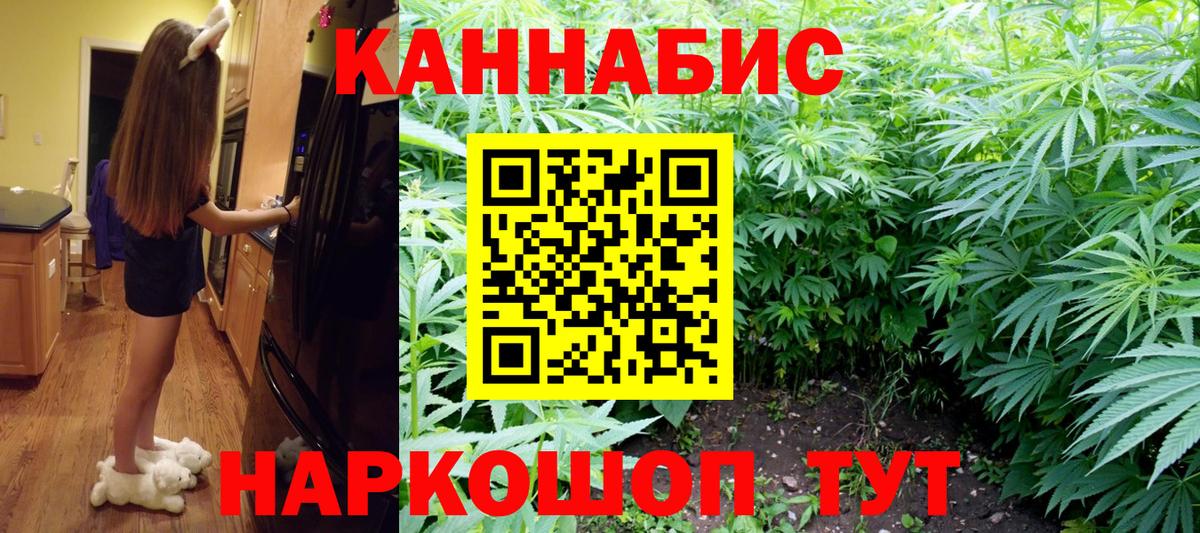 Бошки Шишки ГИДРОПОН Выкса